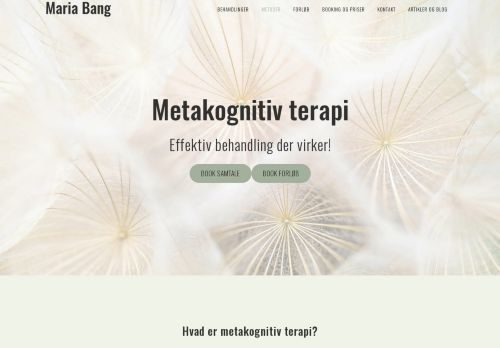 Screenshot af Overkom udfordringer med metakognitiv terapi