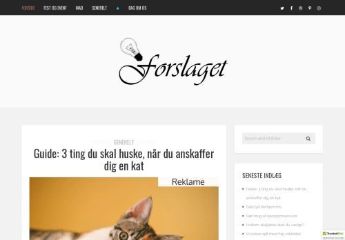 Screenshot af Forslaget.dk