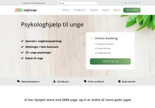Screenshot af Psykolog Kobenhavn. UngTerapi.