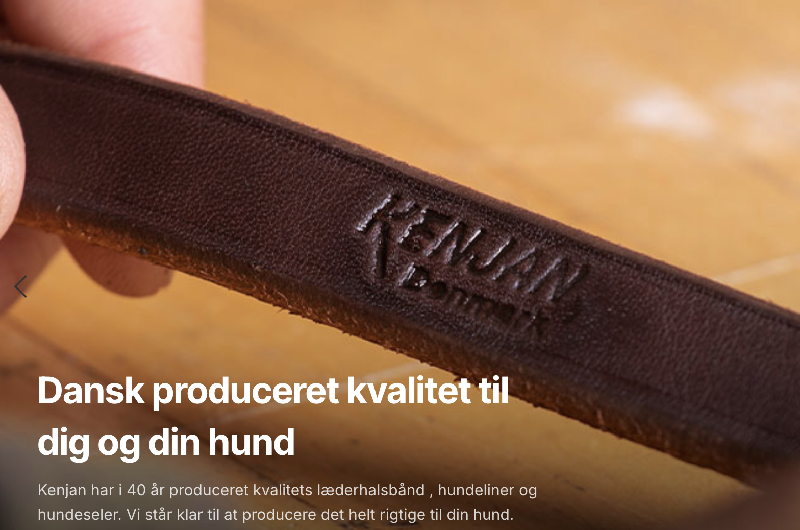 Galleri fra Kenjan